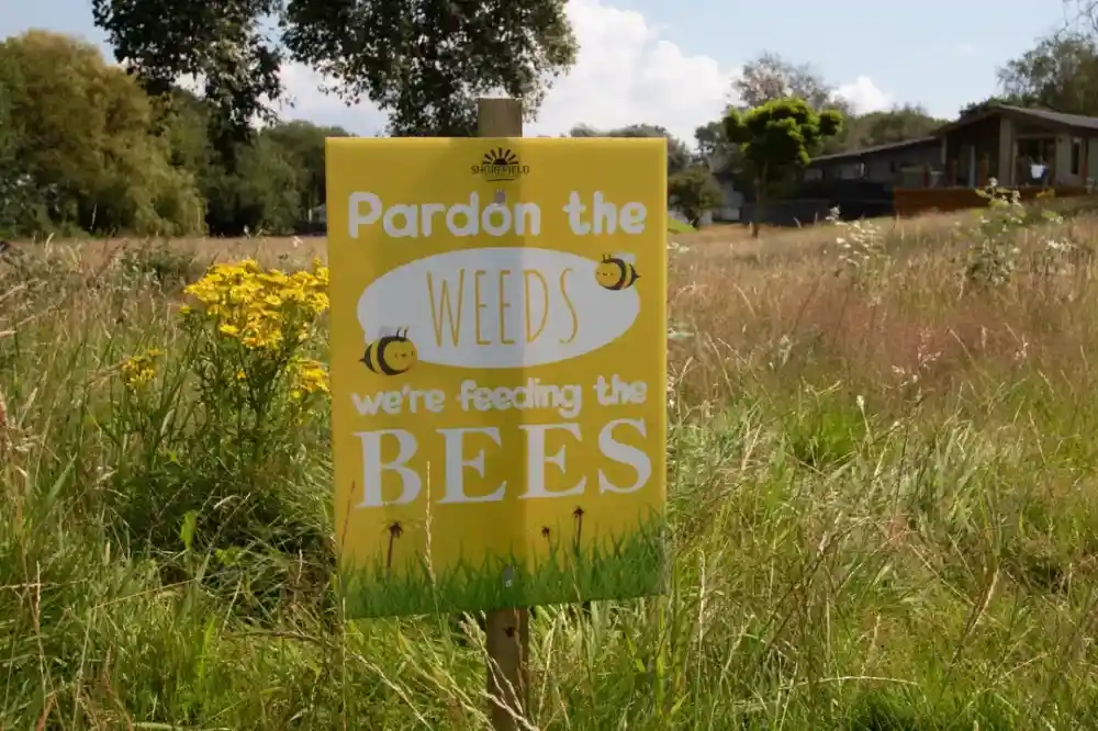 A yellow sign in a grassy area reads Pardon the Weeds, we're feeding the Bees, with a sunny sky and trees in the background.