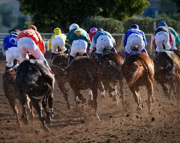 Jockeys in colorful silks race on horses, kicking up dirt as they head toward the finish line. The scene captures the excitement and intensity of a horse race from behind.
