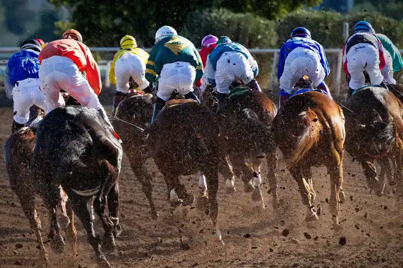 Jockeys in colorful silks race on horses, kicking up dirt as they head toward the finish line. The scene captures the excitement and intensity of a horse race from behind.