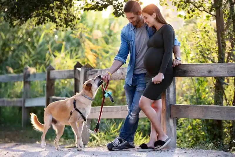 A couple stands together by a wooden fence in a park, enjoying a sunny day. The woman, showing signs of pregnancy, wears a fitted green dress, while the man, in casual attire, smiles as he holds a leash connected to their playful dog. The serene green backdrop enhances the warm atmosphere.
