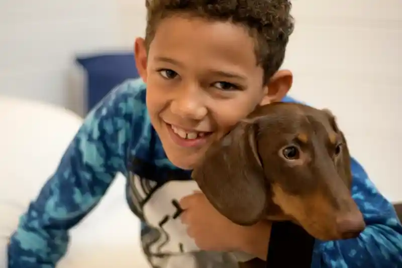 A young boy with curly hair smiles while hugging a brown dachshund. They are indoors, with a cosy atmosphere.