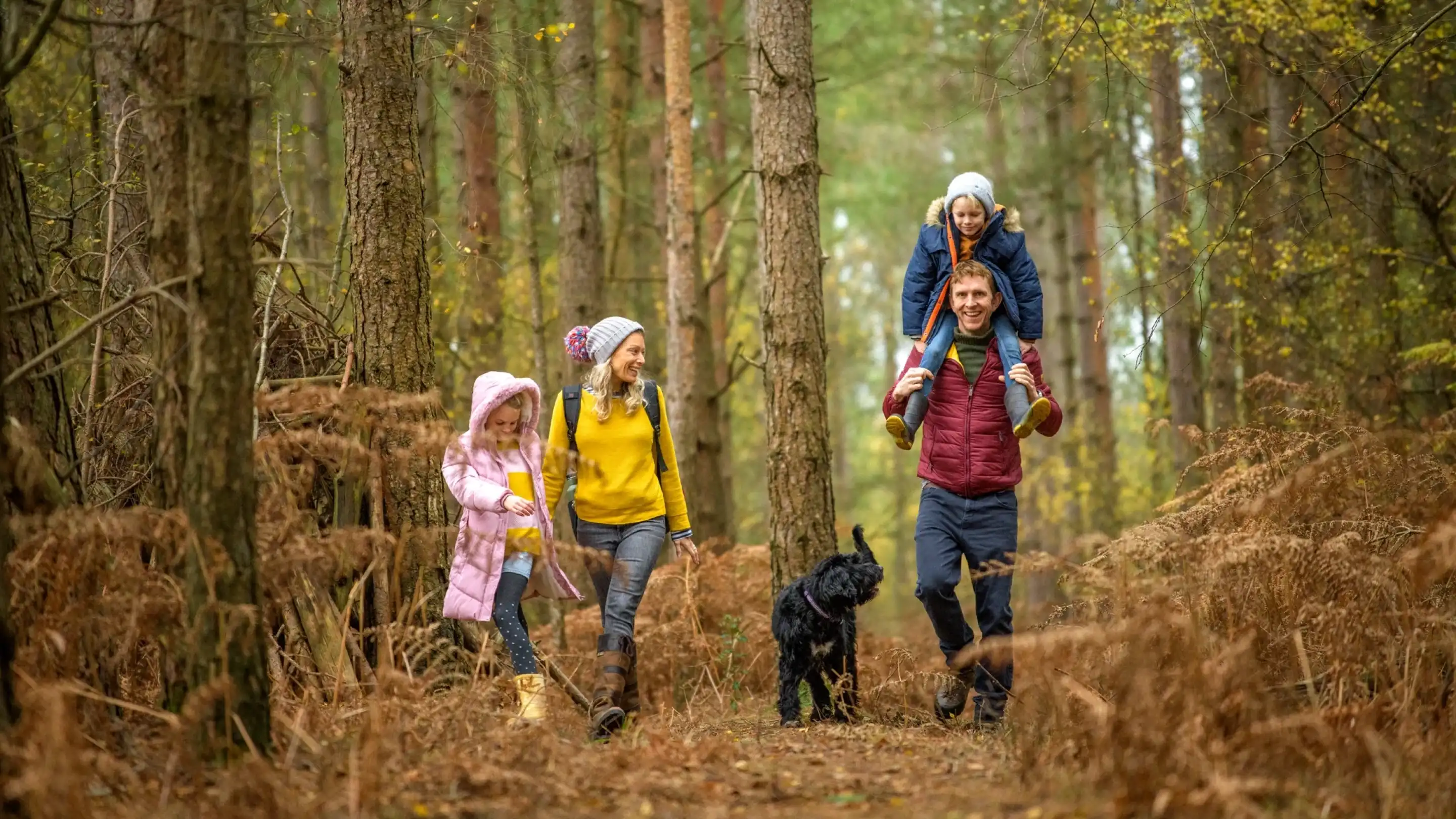 A happy family walks through a forest trail. Two children are on their parents' shoulders, and a black dog accompanies them. The adults are smiling and dressed in colorful jackets, while the kids wear bright outerwear. Surrounding them are tall trees and autumn foliage.