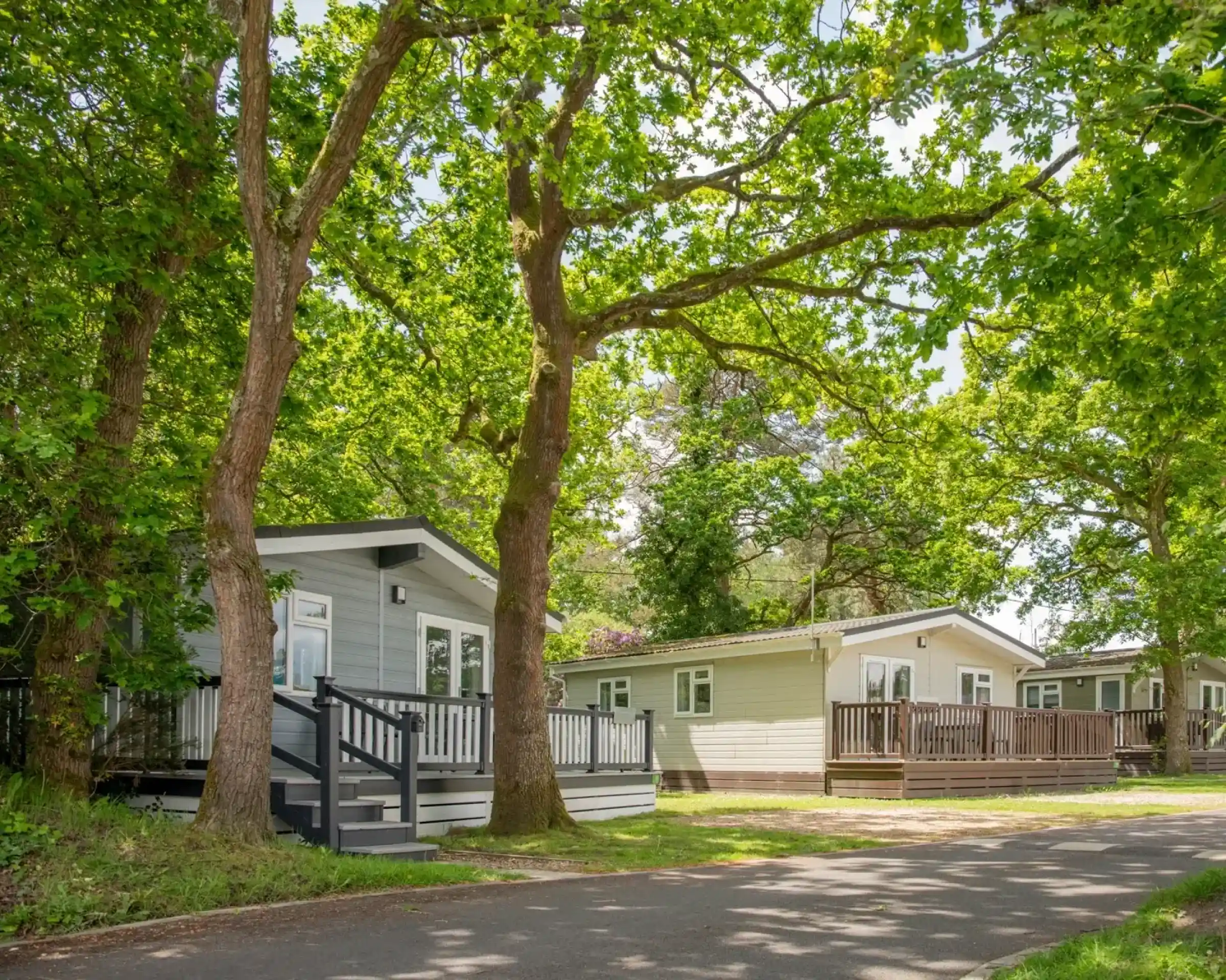 A row of modern holiday cabins nestled among lush green trees, with a paved path leading through the area.