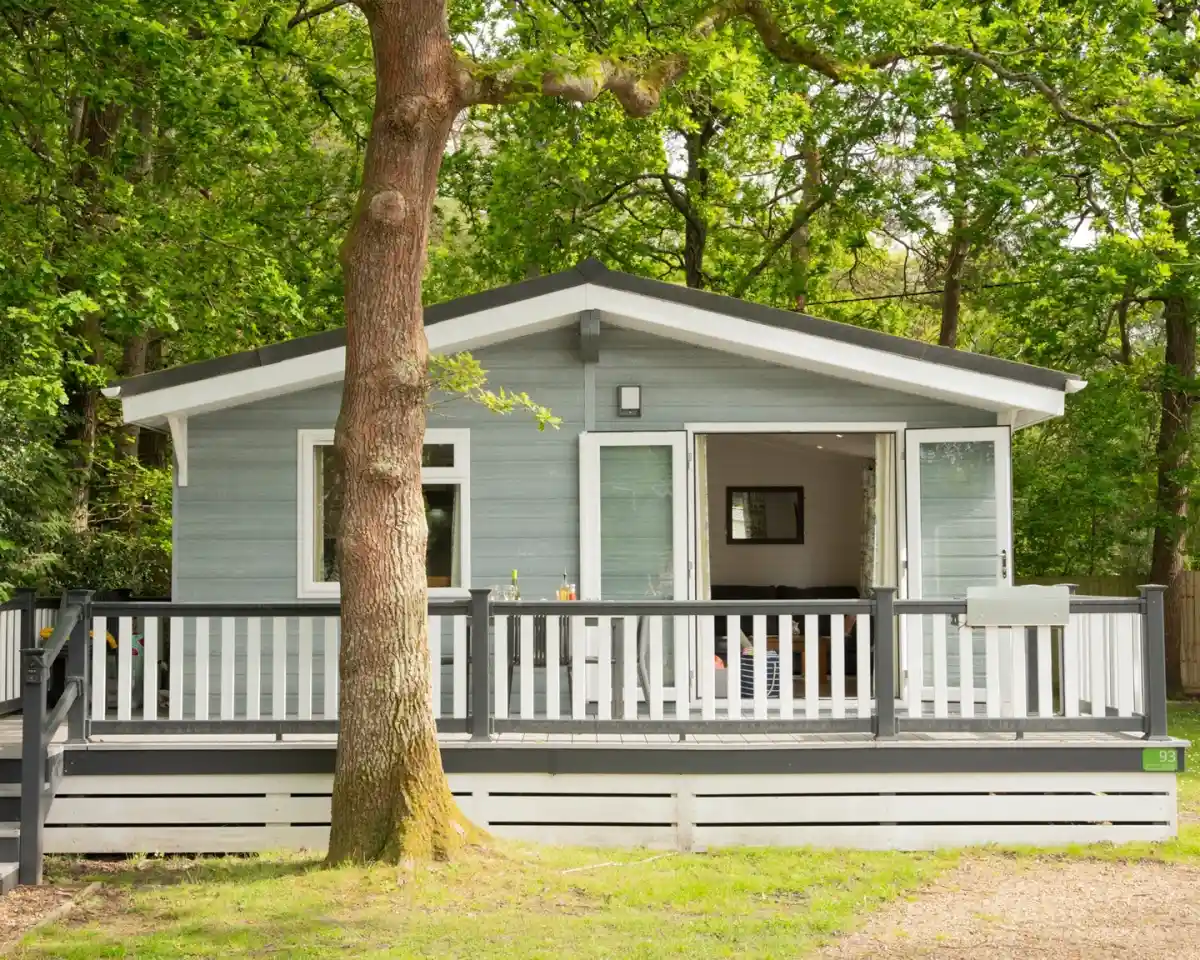 A cosy, light grey cabin with a spacious front porch, surrounded by lush green trees. The cabin features large windows and an inviting entrance.