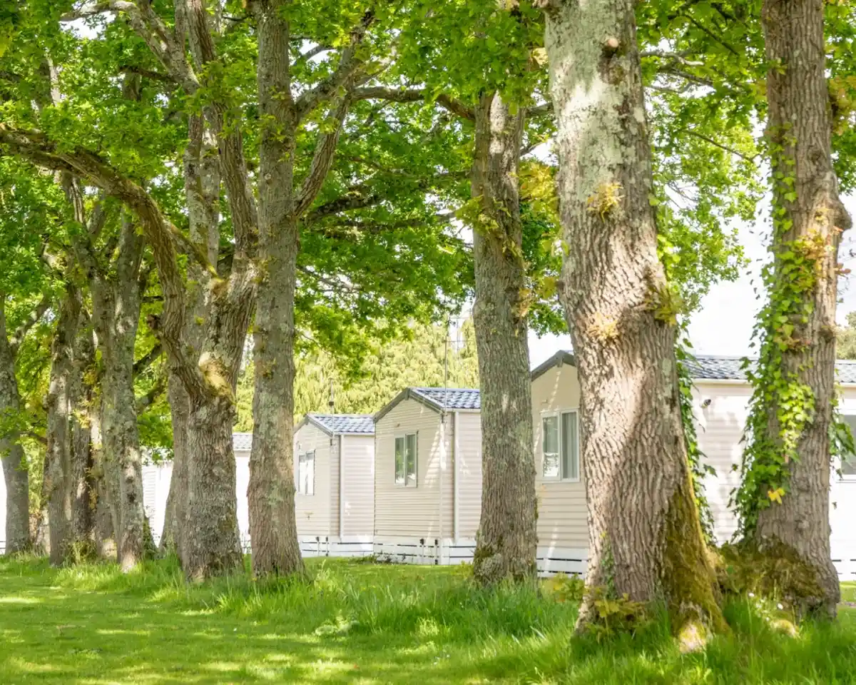 A row of mobile homes nestled among tall, leafy trees on a sunny day. Lush green grass lines the pathway, creating a serene outdoor setting.