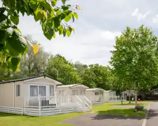A row of vacation cabins with porches, surrounded by lush green trees and grass. The sky is clear with scattered clouds, creating a peaceful outdoor setting.