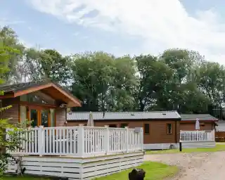 Charming wooden lodges with white railings situated along a gravel path, surrounded by lush green trees and a blue sky.