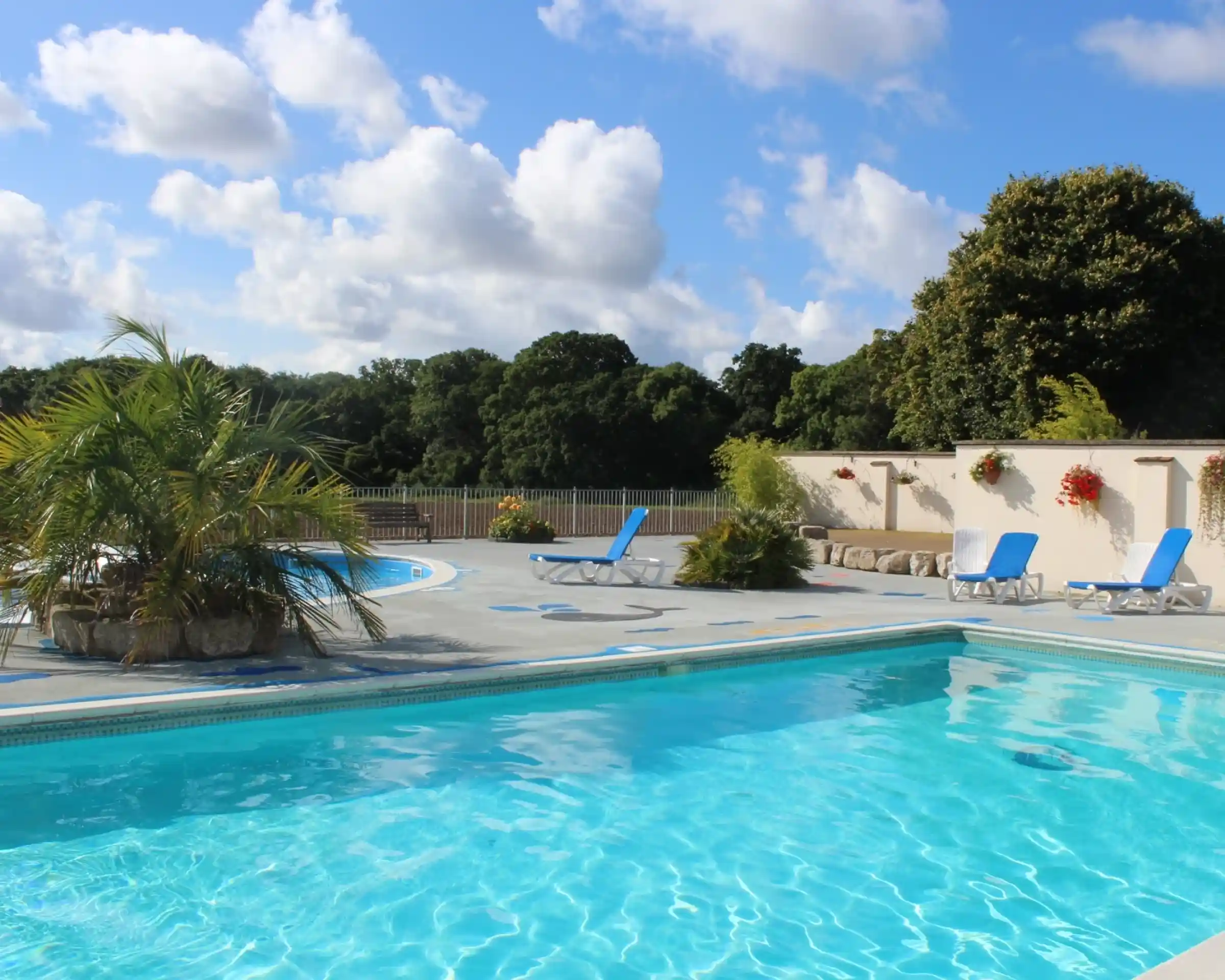 A clear blue swimming pool surrounded by lounge chairs and palm plants, with lush green trees in the background and a bright blue sky with fluffy clouds.