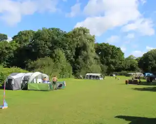 A spacious campsite with several tents set up on a grassy expanse, surrounded by trees. People are engaged in various activities, such as relaxing and playing, under a clear blue sky with a few clouds.