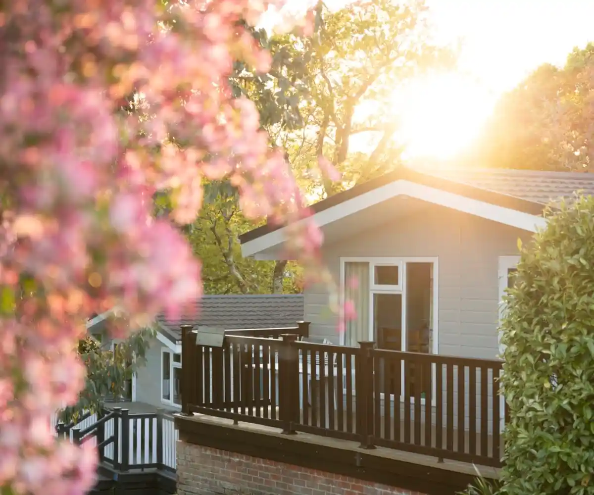 A modern wooden cabin is situated on a grassy hillside, surrounded by tall trees. The cabin features a spacious deck and large windows, offering a serene outdoor view.