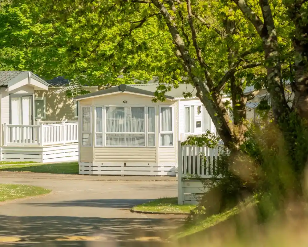 A sunny scene of a residential area featuring several mobile homes surrounded by greenery and trees. The homes have white exteriors and porches, set along a curved road.