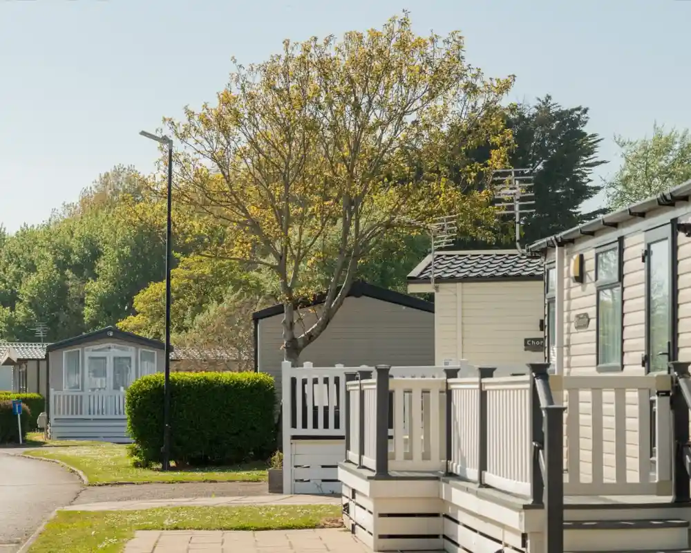 A peaceful scene of a residential area with several mobile homes and a leafy tree in the background. Lush greenery surrounds the well-maintained pathways and homes, creating a serene atmosphere.