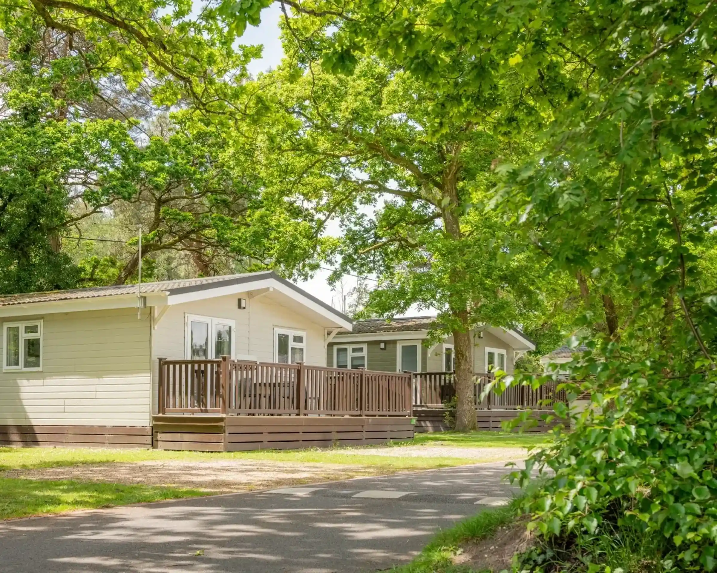 Charming holiday cabins surrounded by lush green trees, featuring wooden decks and a quiet pathway.