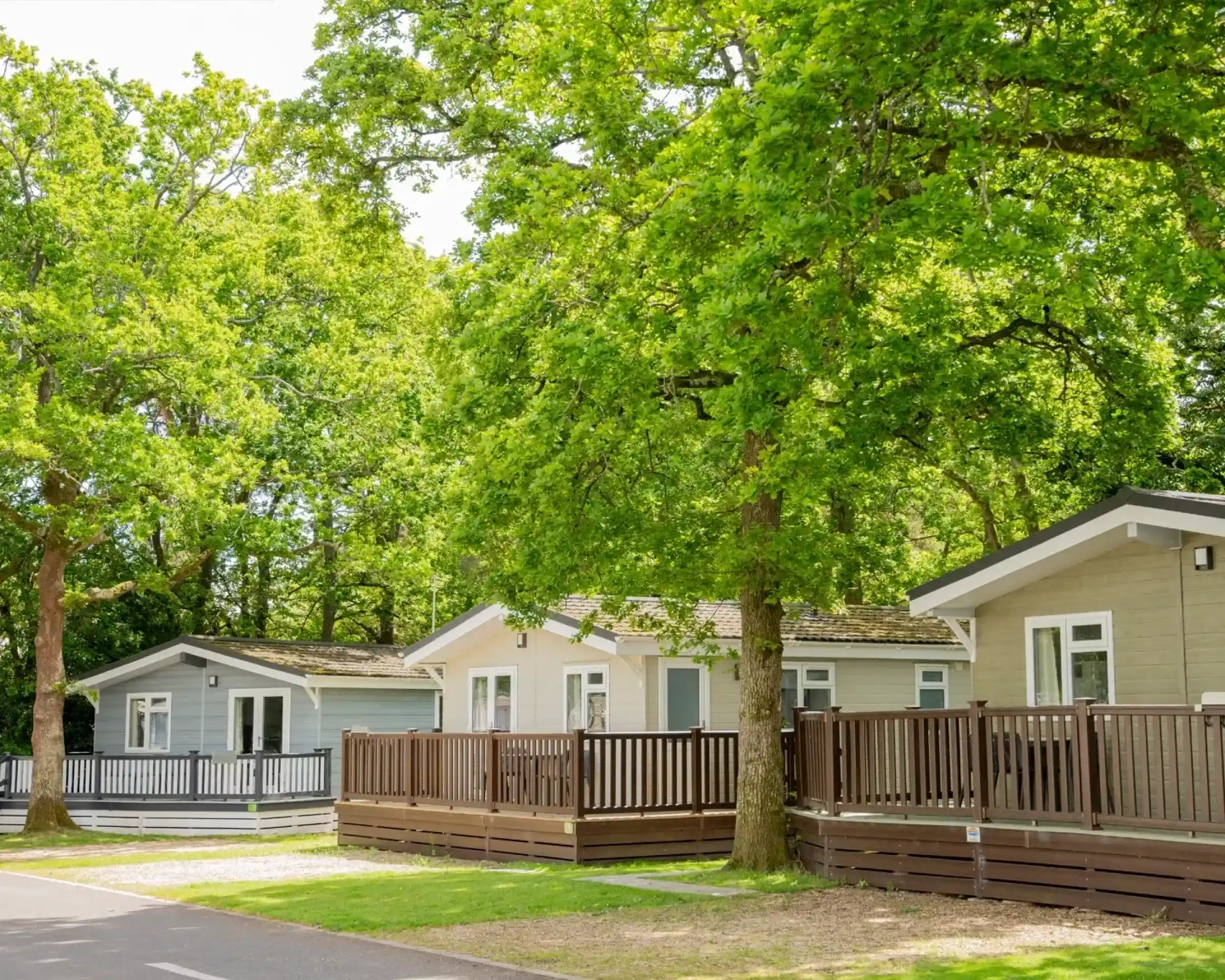 Charming vacation cabins nestled among lush green trees, featuring wooden decks and surrounded by a landscaped pathway.
