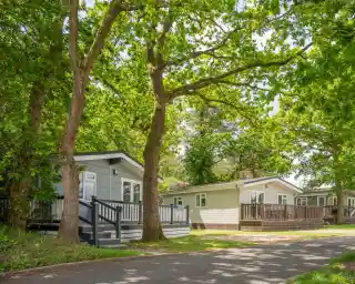 Two modern mobile homes nestled among tall green trees along a paved pathway. The homes feature decks and large windows, creating a cozy, inviting atmosphere.