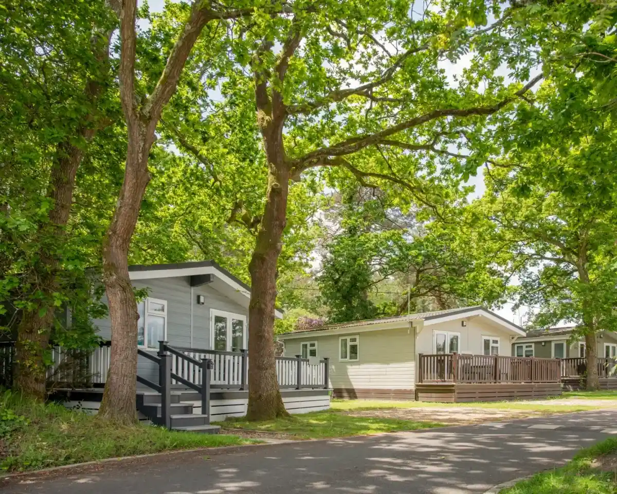 Two modern mobile homes nestled among tall green trees along a paved pathway. The homes feature decks and large windows, creating a cozy, inviting atmosphere.