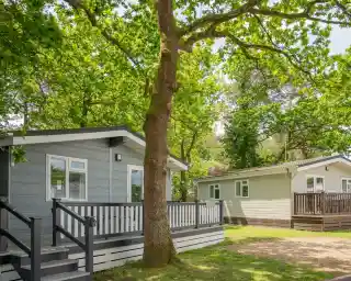 Two modern cabins surrounded by lush green trees, featuring decks with railings. The first cabin has a light gray exterior, while the second cabin is pale beige. Yards are well-maintained with gravel pathways.