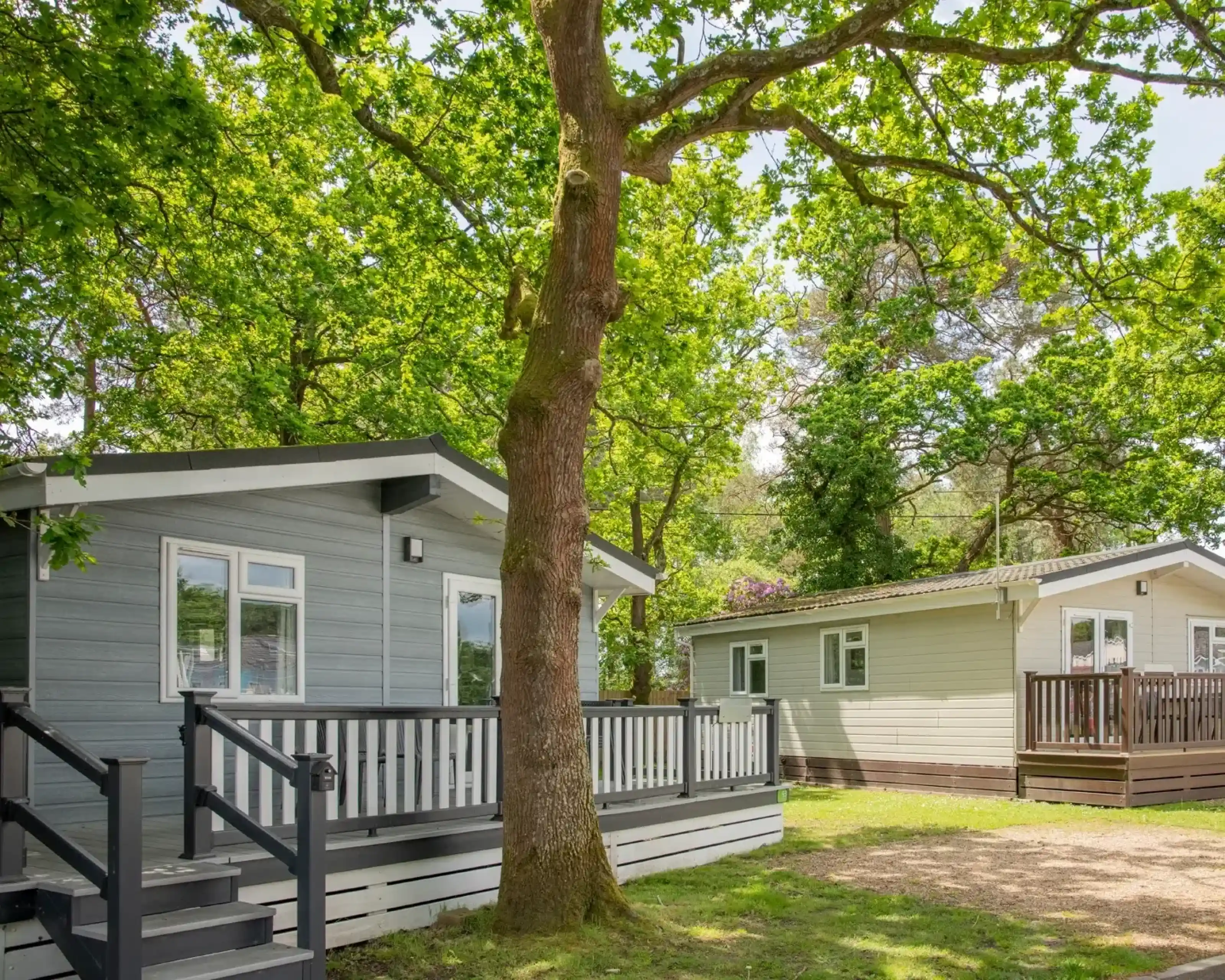 Two modern cabins surrounded by lush green trees, featuring decks with railings. The first cabin has a light gray exterior, while the second cabin is pale beige. Yards are well-maintained with gravel pathways.