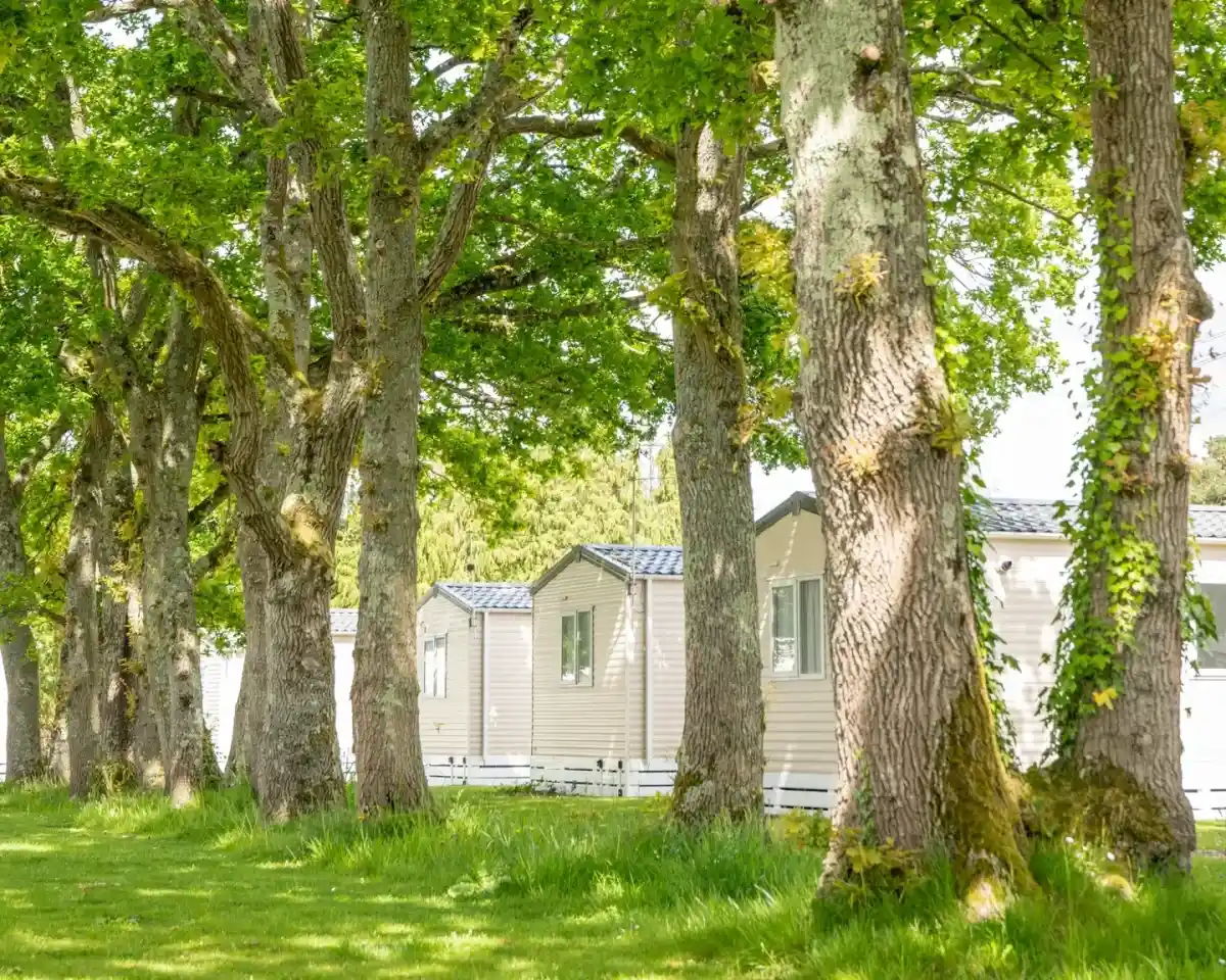 A row of light-colored mobile homes is nestled among tall trees with lush green leaves, creating a peaceful outdoor setting. Soft sunlight filters through the foliage, illuminating the grassy area.