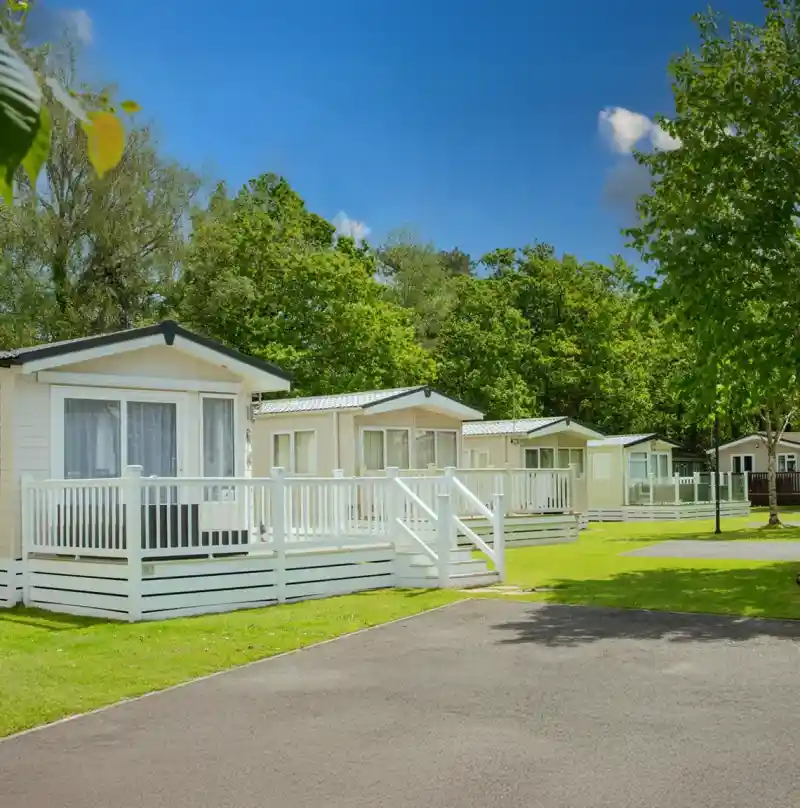 Charming holiday cottages with white railings set in a green, sunny park. Lush trees provide shade, and a clear blue sky adds brightness to the scene.