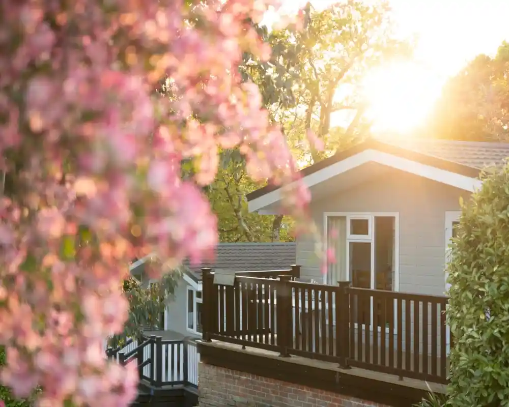 A serene scene featuring a cozy house with a deck, surrounded by blooming flowers. Soft sunlight filters through the trees, creating a warm, inviting atmosphere.