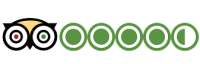 Tripadvisor logo featuring an owl with a yellow beak, accompanied by five green circles indicating ratings, with one partially filled circle.