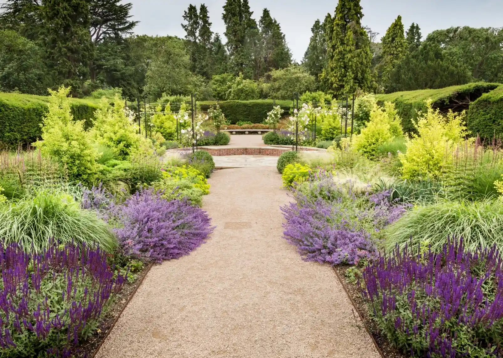 A winding gravel path through a vibrant garden, flanked by lush greenery and clusters of blooming purple flowers. Trees and hedges provide a natural backdrop under a cloudy sky.