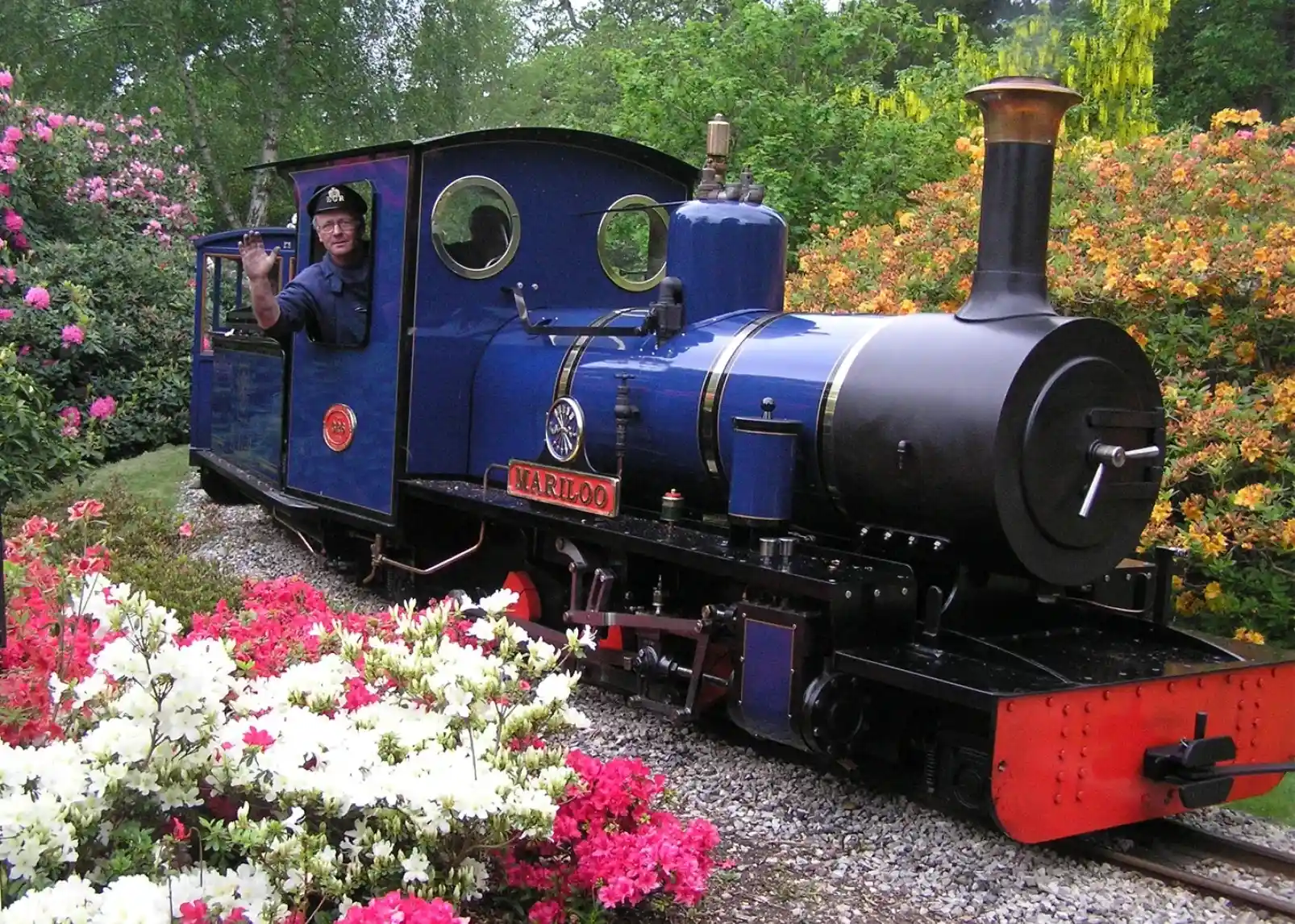 A blue steam train with a smiling conductor is parked among colorful blooming flowers in a garden setting. The train features decorative elements and a bright red chimney.