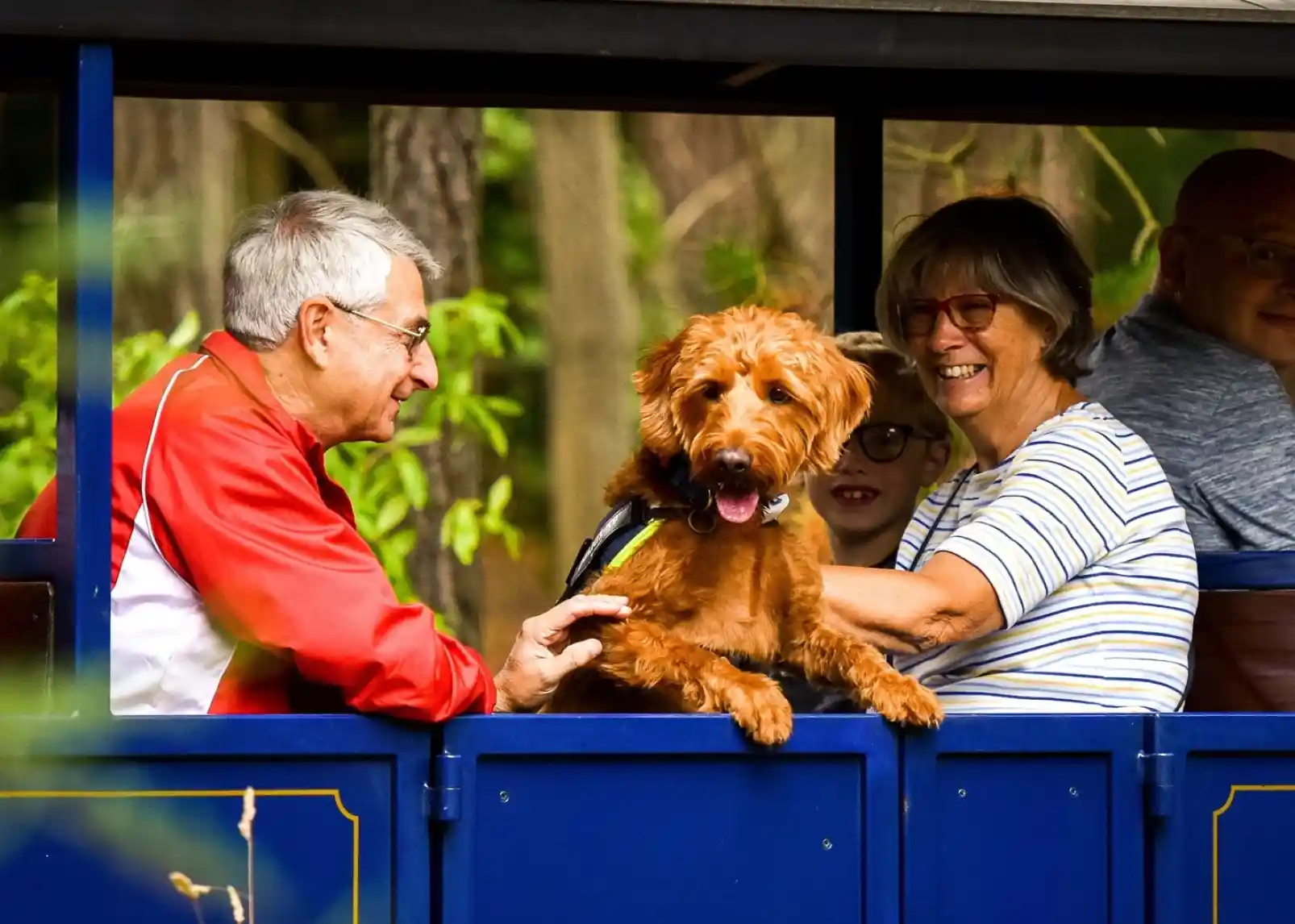 An older man in a red jacket and a woman with glasses share a joyful moment, petting a golden-brown dog on a small train. A young boy in the background watches them, smiling. The scene is set in a lush green environment.