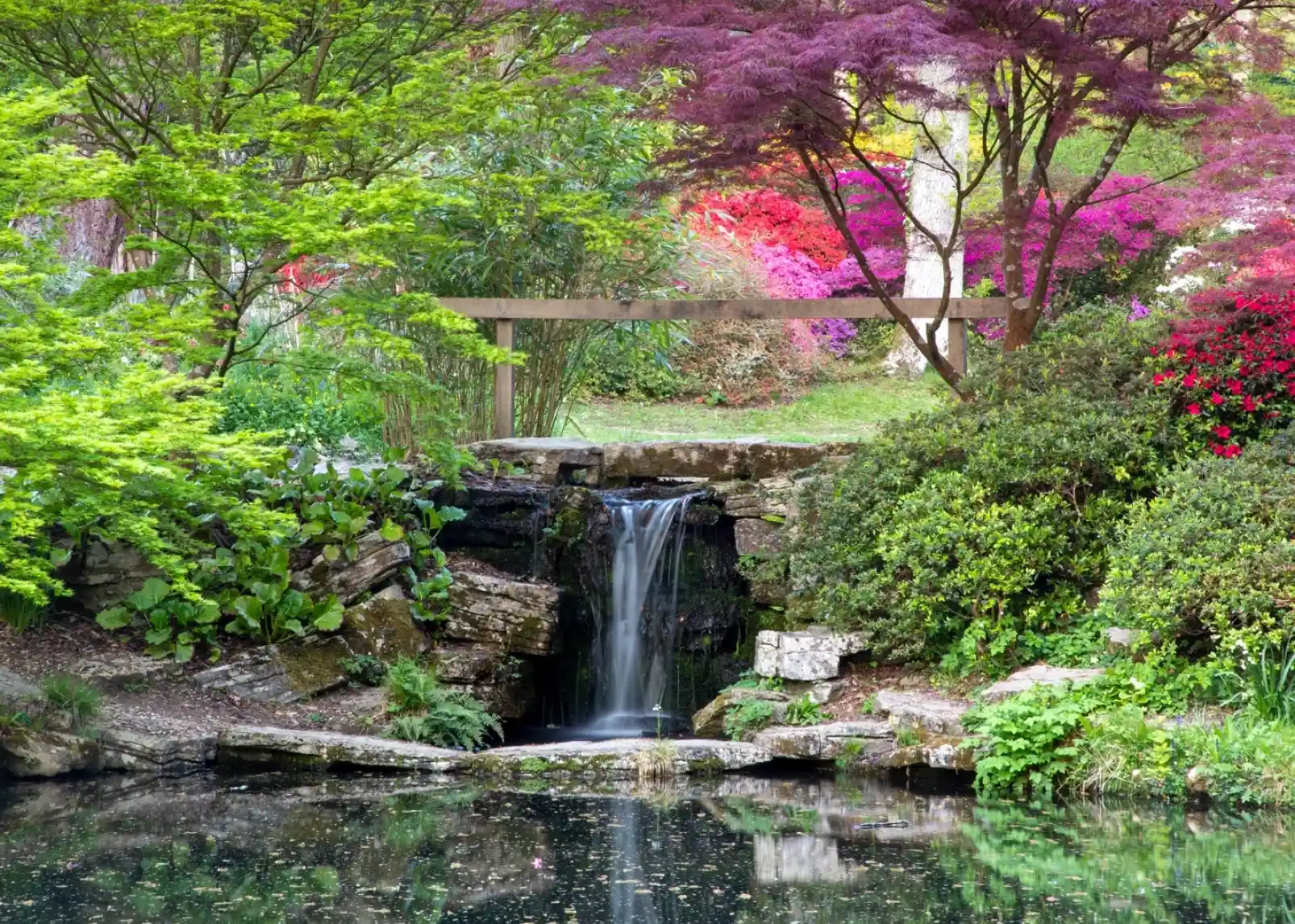A serene garden features a small waterfall cascading into a still pond, surrounded by lush greenery and vibrant flowering plants in shades of pink and purple. A wooden bridge arches over the water in the background.