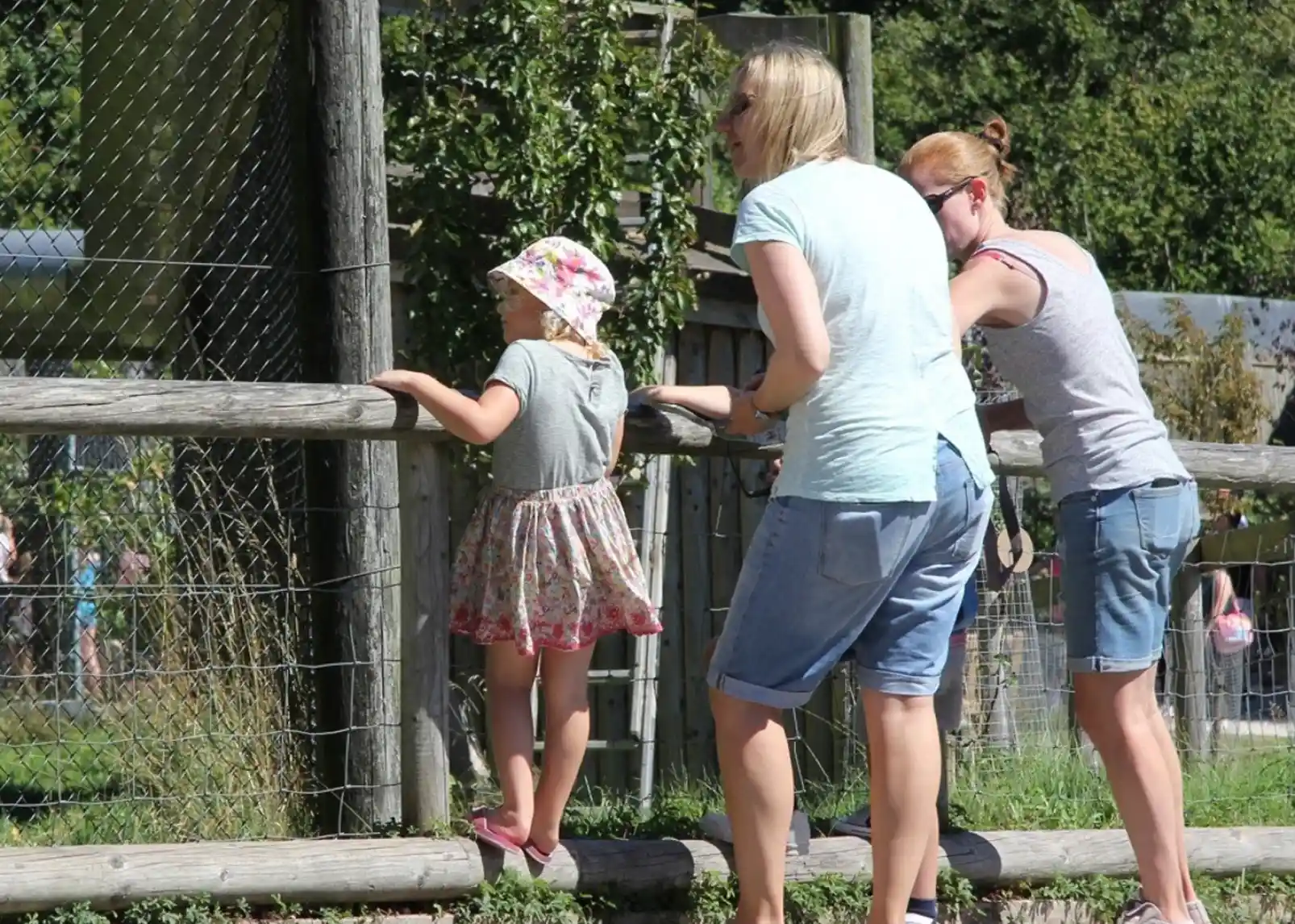 A child wearing a floral dress and a sun hat stands on tiptoe by a wooden fence, looking at something outside the enclosure. Two women, one in a light blue shirt and the other in a gray tank top, are beside her, observing as well. The setting appears to be a zoo or a park on a sunny day.