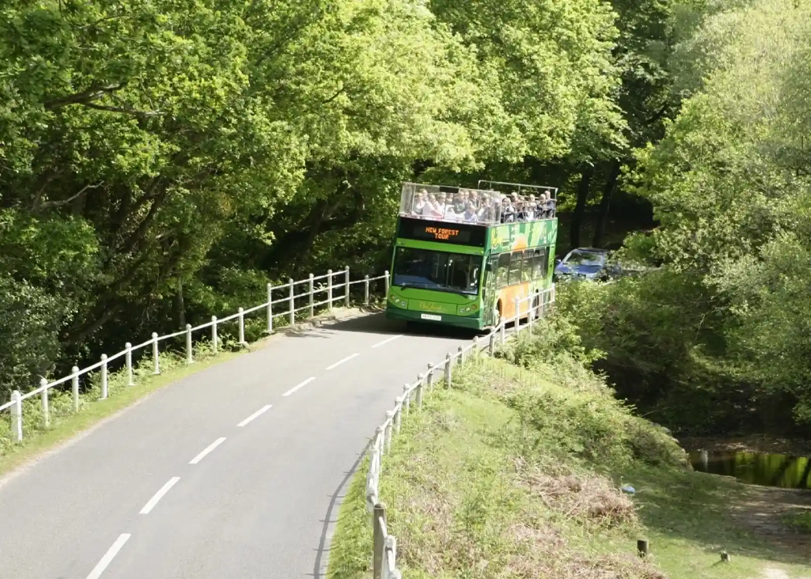 A double-decker tour bus drives along a narrow road surrounded by lush greenery, with a small car parked nearby.