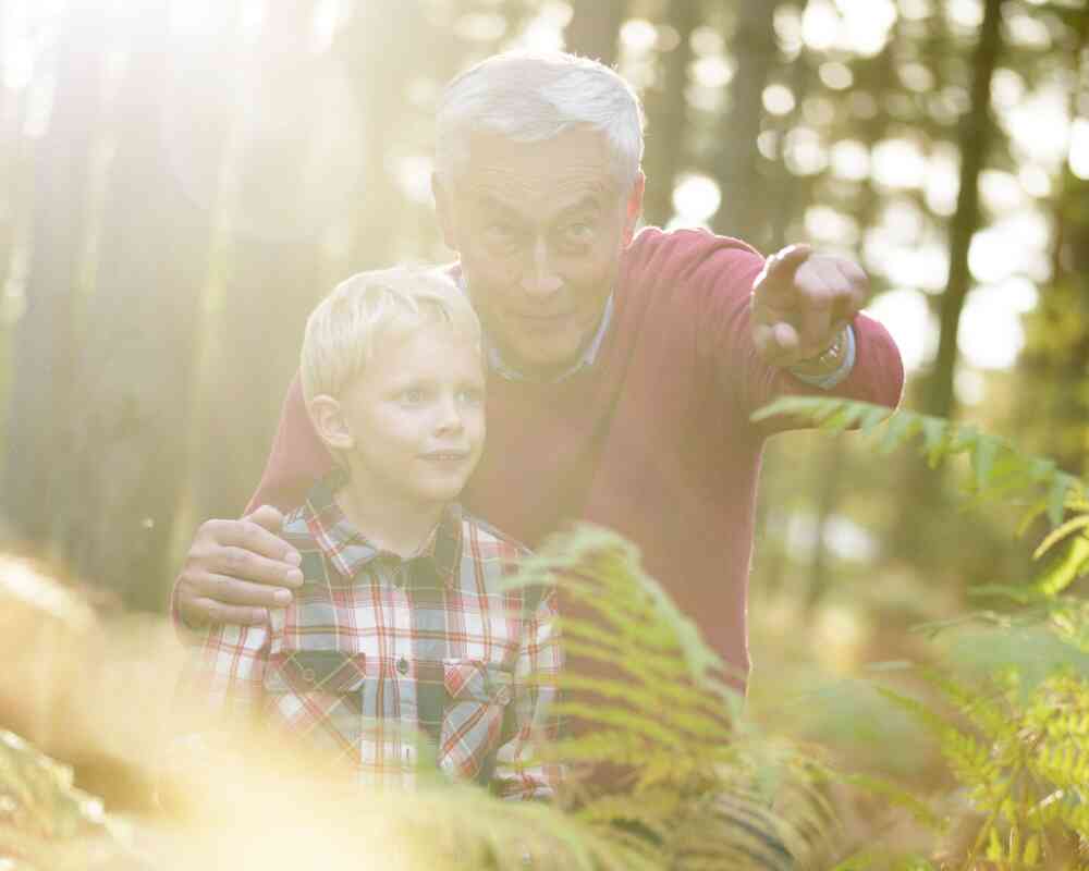An elderly man and a child in a forest, enjoying nature together amidst tall trees and dappled sunlight.
